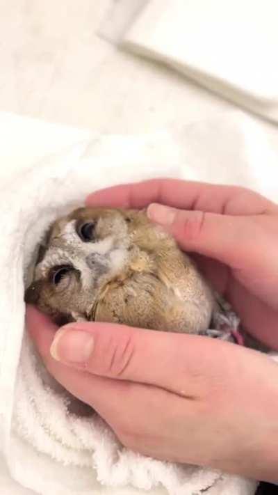 Night surveillance drone restarting after software update