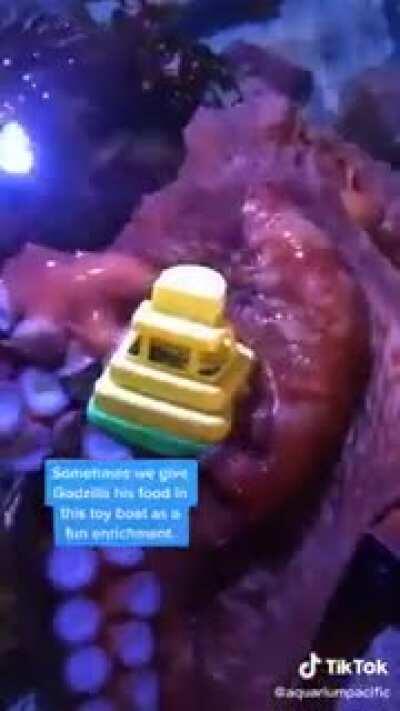 We're gonna need a bigger boat.