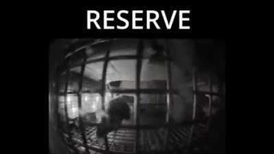 It's that time of the year