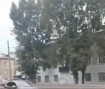 Dog knows how to use the crosswalk, but not press the button. Cars stop for him anyways.