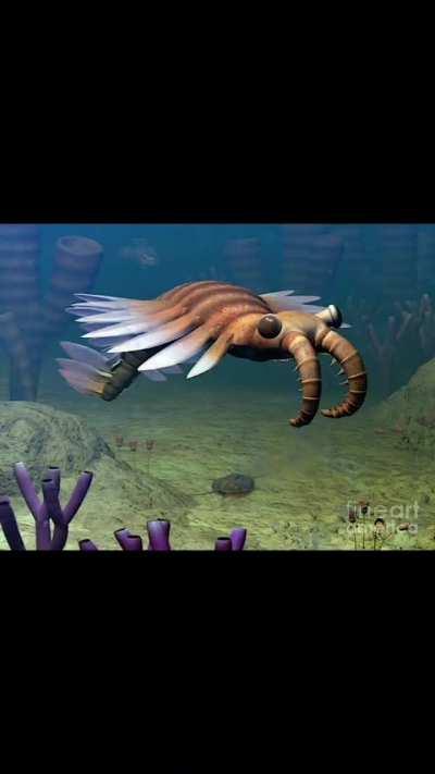 Its gonna be our 500 millionth Christmas without him