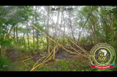 Russian kamikaze drones from the 217th Airborne Regiment attack Ukrainian soldiers in the Sumy-Kursk Oblast border region.