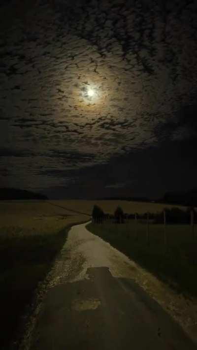 Imagine walking here, thinking about life