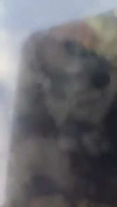 Attenpt to drive a flood