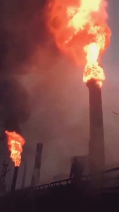 Thought y'all might enjoy this