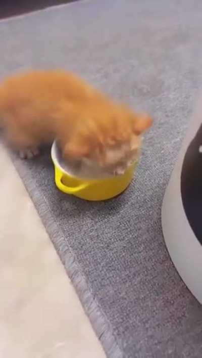 Chill bro, it's all yours! 