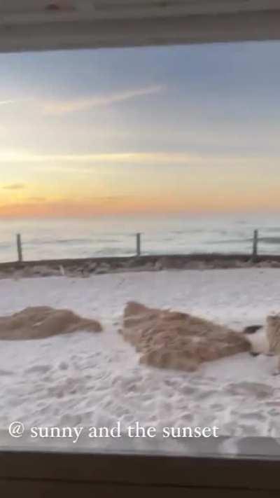 The fucking tits on this broad…