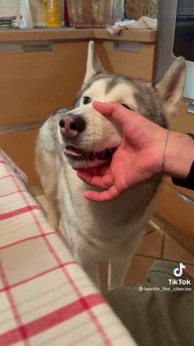 Wah wah wah wah wahhh