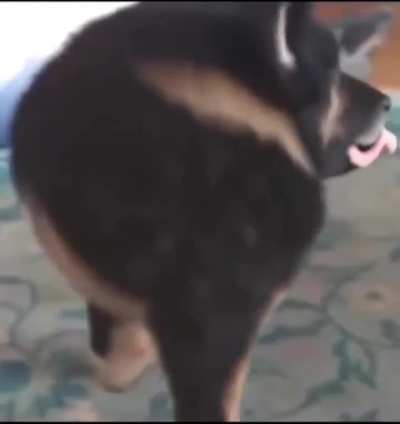 Nothing of substance