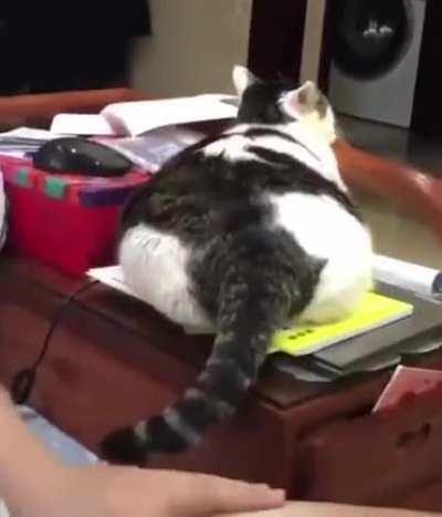 Sometimes you can hear how fat someone is.