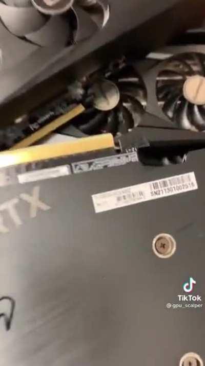 GPU Scalper, dumbass showed serial code lmao