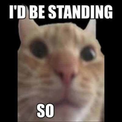 Cat Cat Cat Cat Cat Cat Cat Cat Cat Cat Cat Cat Cat Cat Cat Cat Cat Cat Cat Cat Cat Cat Cat Cat Cat Cat Cat Cat Cat Cat Cat Cat Cat Cat Cat Cat Cat Cat Cat Cat Cat Cat Cat Cat Cat Cat Cat Cat Cat Cat Cat Cat Cat Cat Cat Cat Cat Cat Cat Cat Cat Cat Cat Cat