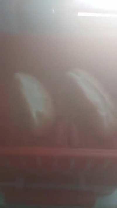 le humberger partie deux!!!