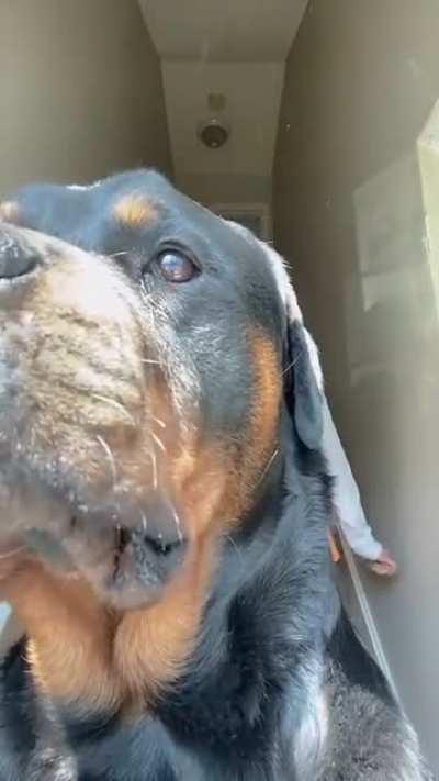 TikTok is full of MCs smh