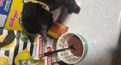 A loving delivery of treats during lockdown? Must Touch.