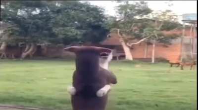 F3w9x8uwjwisdkwosoox7e9w