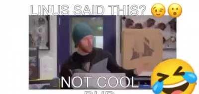 Whoa Line us what the heck 😾😾😾