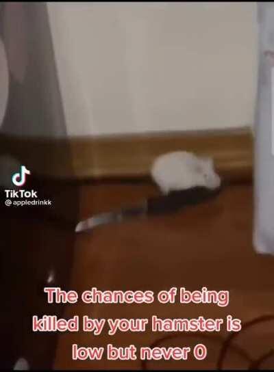 A knife 🔪.. NO!! by @appledrinkk