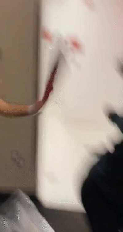 Wisconsin volleyball team video leaks 2/7