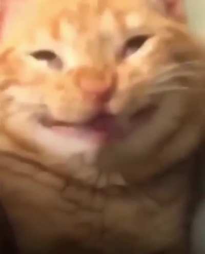 Bi kere şöyle gerinsem hiç bişeyim kalmayacak