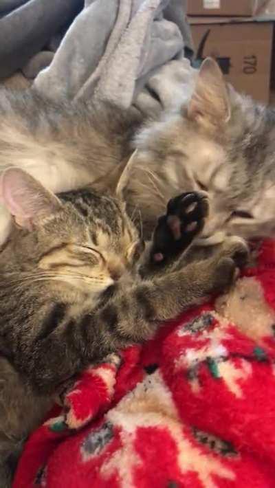 It's good when your loved ones are around.