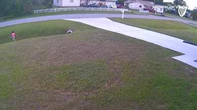 The Skill of this Dog, pushes the child out of harms way, then engages the other dog.