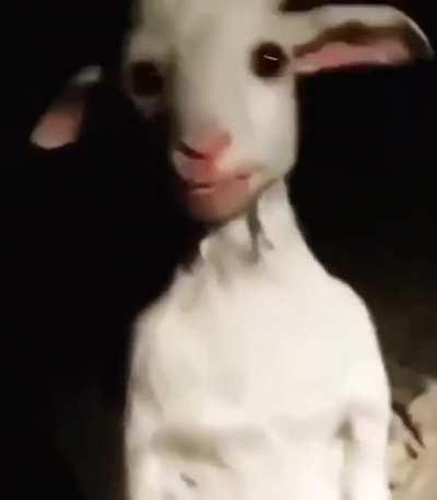 Man my arm hair was standing up.