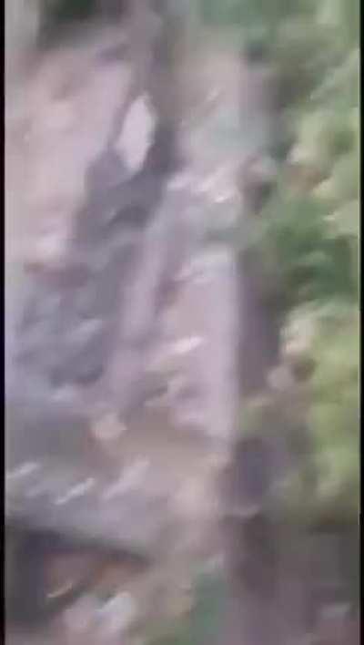 Kids got skills to pay hospital bills