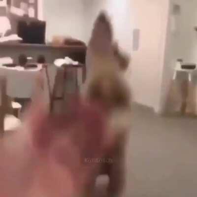 live fast 💨 drive fast 🏎