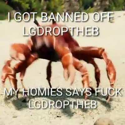 I got banned within an hour of posting a meme.