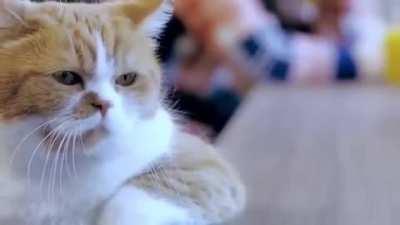 Looking forward to the week like..