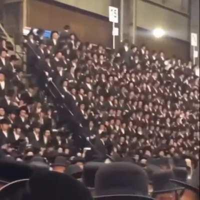 I bet their downstairs neighbours are Palestinians