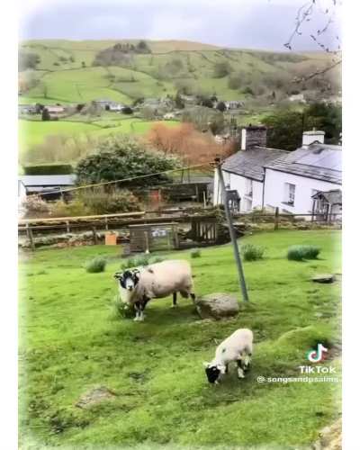 Imagine waking up one day and this being the landscape