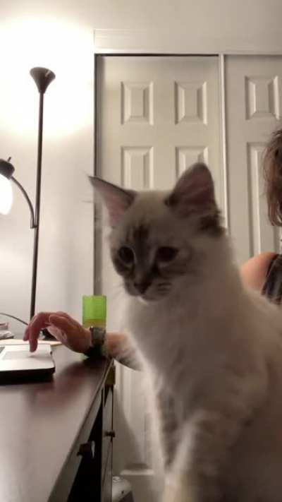 Kazamotan meets the printer.