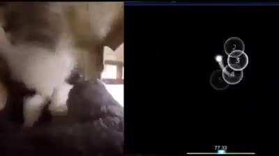 Does someone know the map?