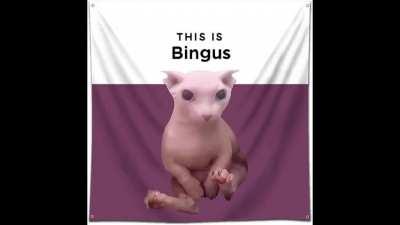 shitty little binkus edit