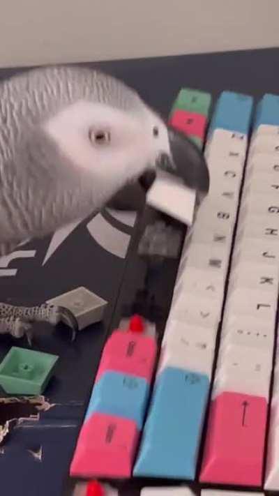 Yes but, do you have an automatic keycap puller?