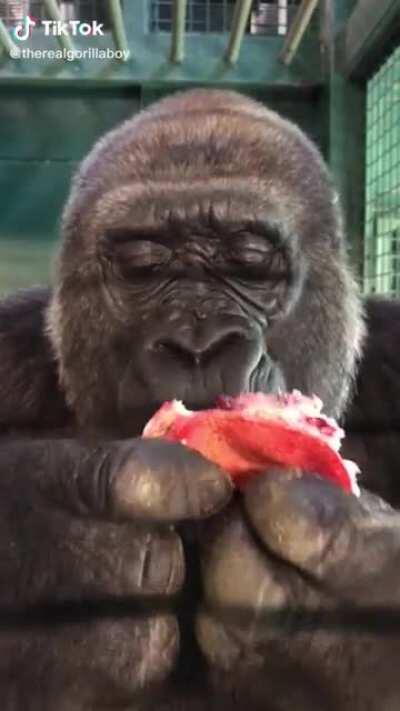 Monke eat pomegranate