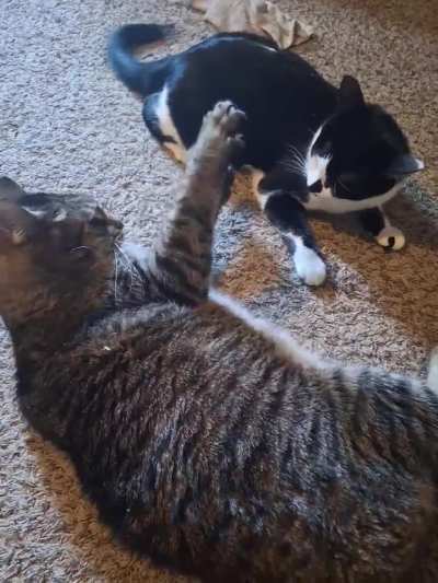 Cosmo was messing with Armani a little too much,lol.