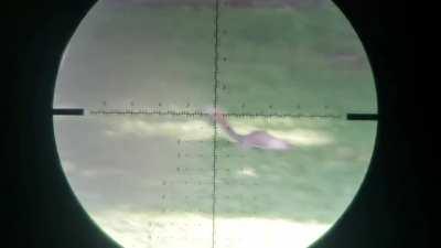 How To Turn a Backyard Pest Into Food With One Click of a Button