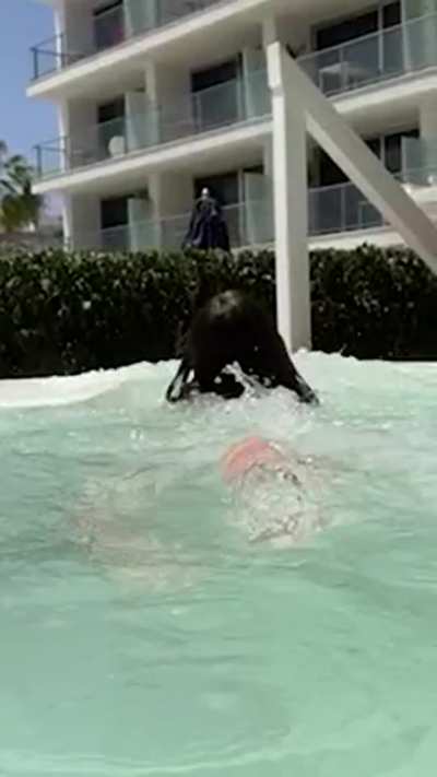 Ijenz almost butthole slip