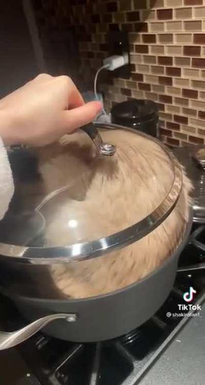 KiTtY bOuT tO GeT bOiLeD aLiVe