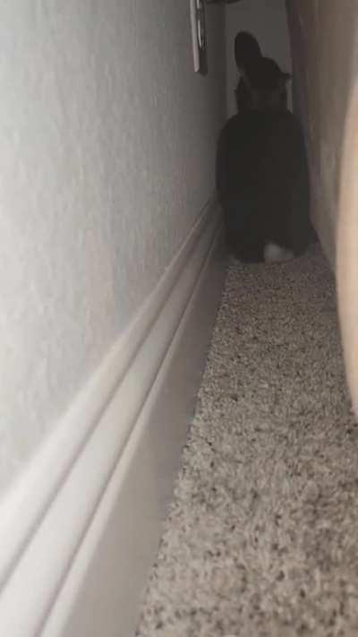 Backing up *beep beep beep*