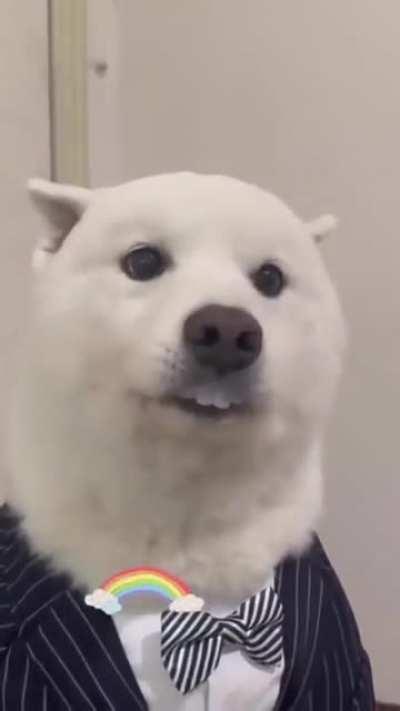 How I'm sitting at table on the family dinner