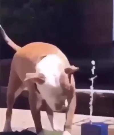 Instructions unclear