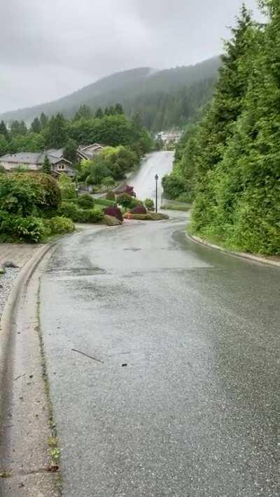 West Coast Mountain Rain