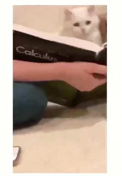 Somebody save him please!!!!🥺🥺