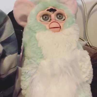 A video of the boy screaming after being longified