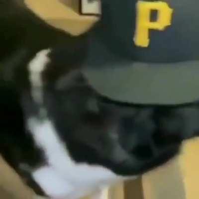 Anyone know the song?