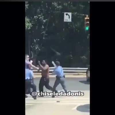 Man fights cops barehanded